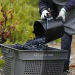 Casa Da Piscina, Quinta Do Espinho, Douro Valley Alojamento de Acomodação e Pequeno-almoço