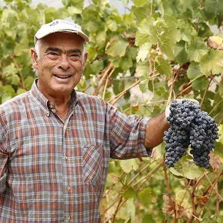 Casa Da Piscina, Quinta Do Espinho, Douro Valley 4*