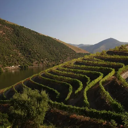 فندق مبيت وإفطار Casa Da Piscina, Quinta Do Espinho, Douro Valley