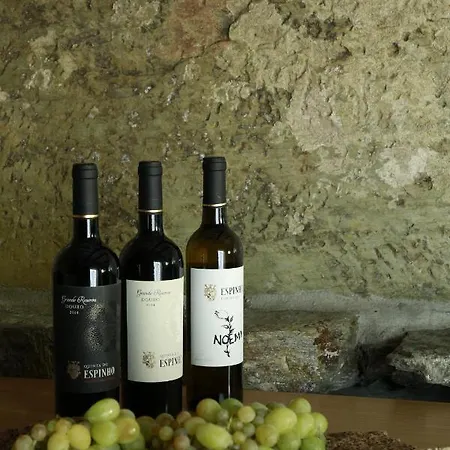 Casa Da Piscina, Quinta Do Espinho, Douro Valley فندق مبيت وإفطار 4*