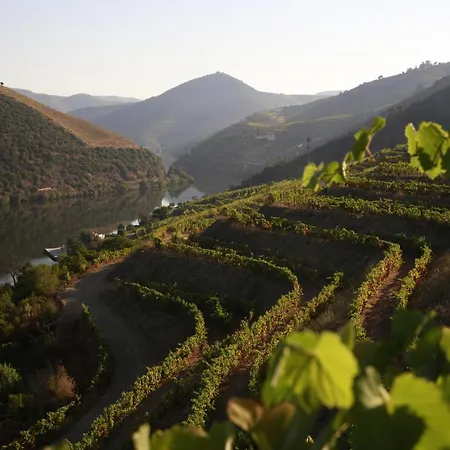 Casa Da Piscina, Quinta Do Espinho, Douro Valley לינה וארוחת בוקר 4*