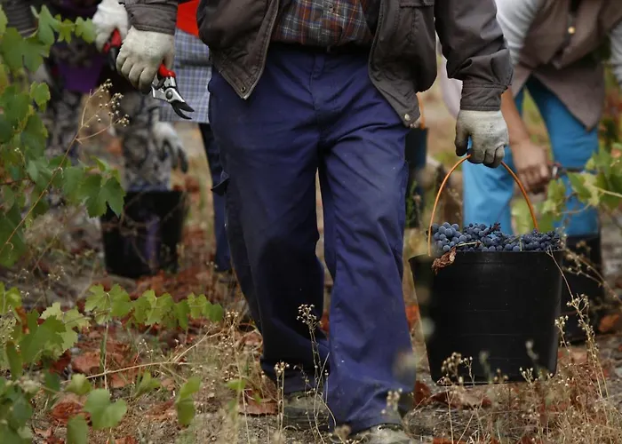 Bed & Breakfast Casa Da Piscina, Quinta Do Espinho, Douro Valley