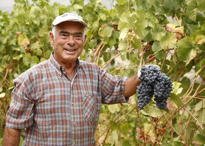 Casa Da Piscina, Quinta Do Espinho, Douro Valley 4*