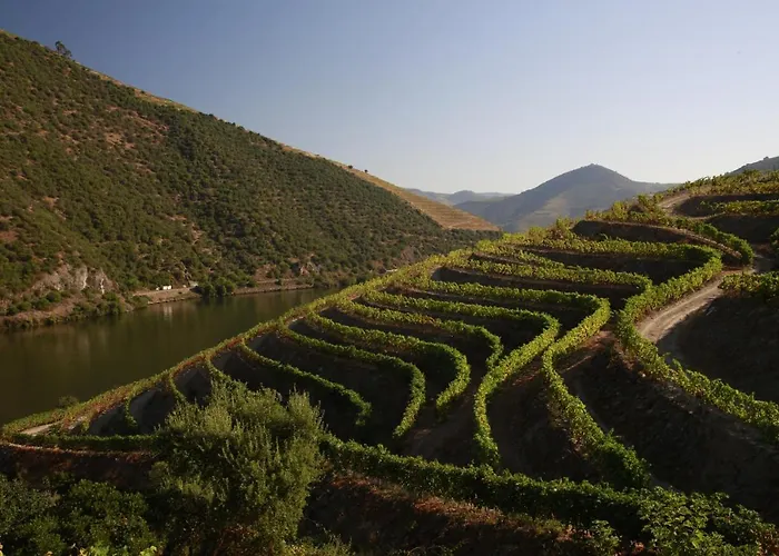 Bed & Breakfast Casa Da Piscina, Quinta Do Espinho, Douro Valley