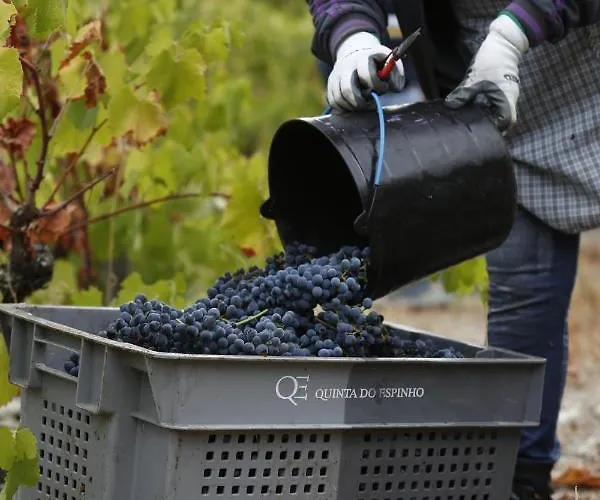 Casa Da Piscina, Quinta Do Espinho, Douro Valley Bed & Breakfast