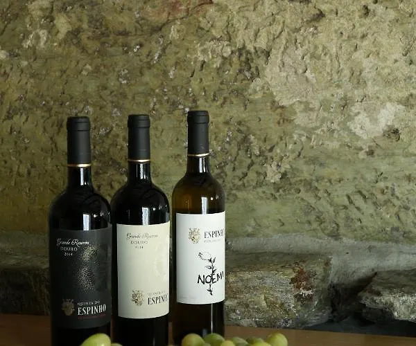 Casa Da Piscina, Quinta Do Espinho, Douro Valley Bed & Breakfast 4*