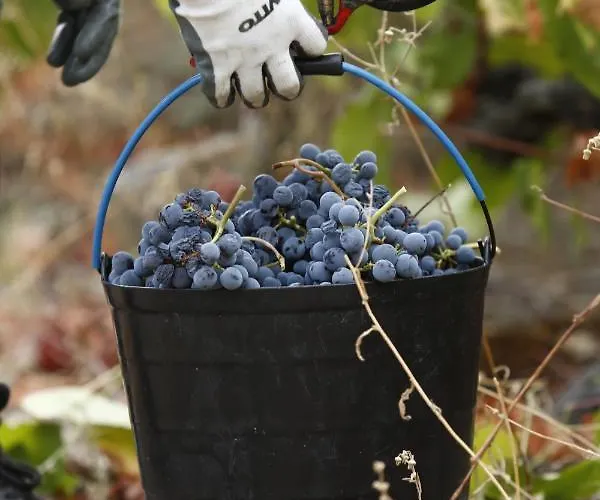 Casa Da Piscina, Quinta Do Espinho, Douro Valley Bed & Breakfast 4*