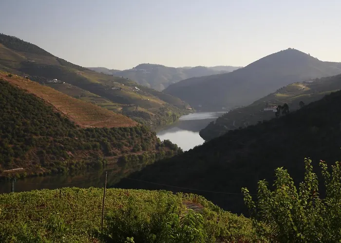 Bed & Breakfast Casa Da Piscina, Quinta Do Espinho, Douro Valley