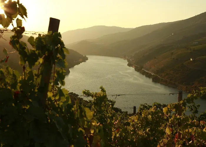 Casa Da Piscina, Quinta Do Espinho, Douro Valley 4*