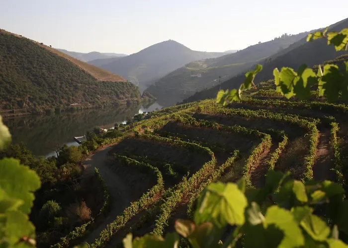 Casa Da Piscina, Quinta Do Espinho, Douro Valley Bed & Breakfast 4*