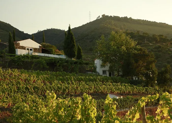 Casa Da Piscina, Quinta Do Espinho, Douro Valley Bed & Breakfast Tabuaço